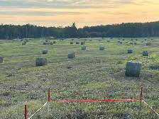 Alfalfa Round Bales - Photo 3