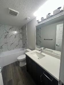 2 Bedroom Basement