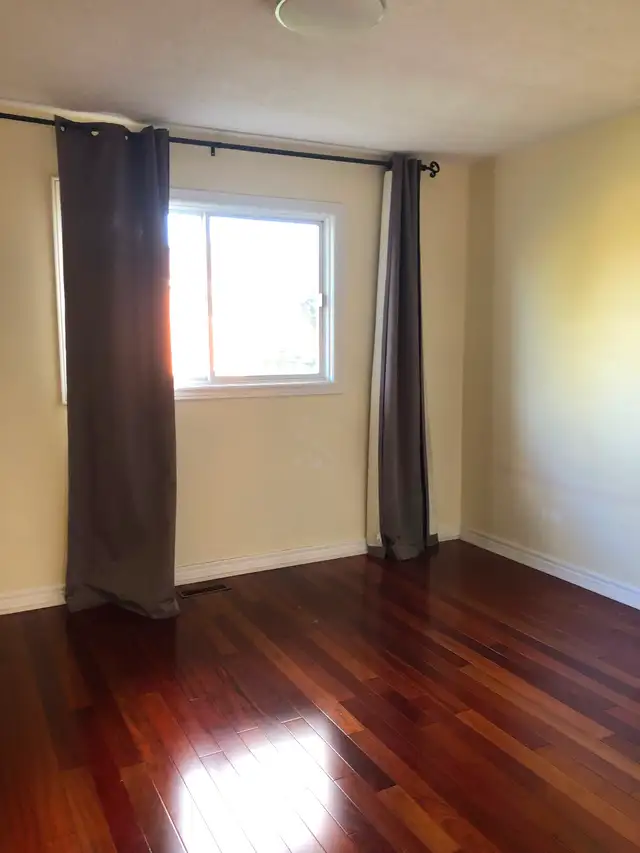 Quiet Room for rent