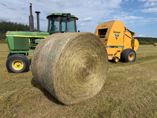 Grass hay