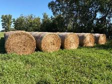 Grass hay - Photo 5