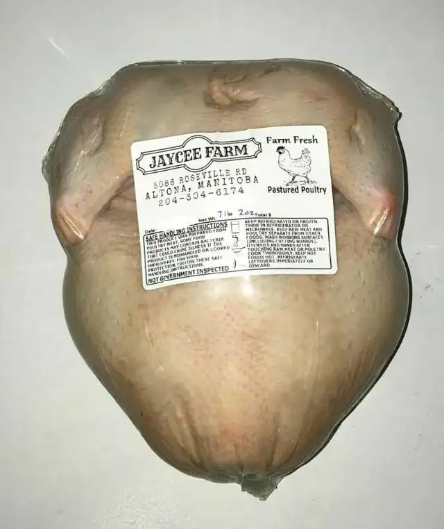 Pasture Raised Chickens