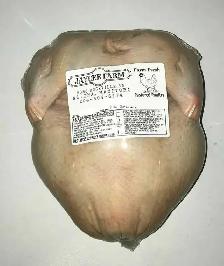 Pasture Raised Chickens