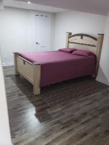 2 BEDROOM WALK OUT BASEMENT FOR RENT - Photo 4
