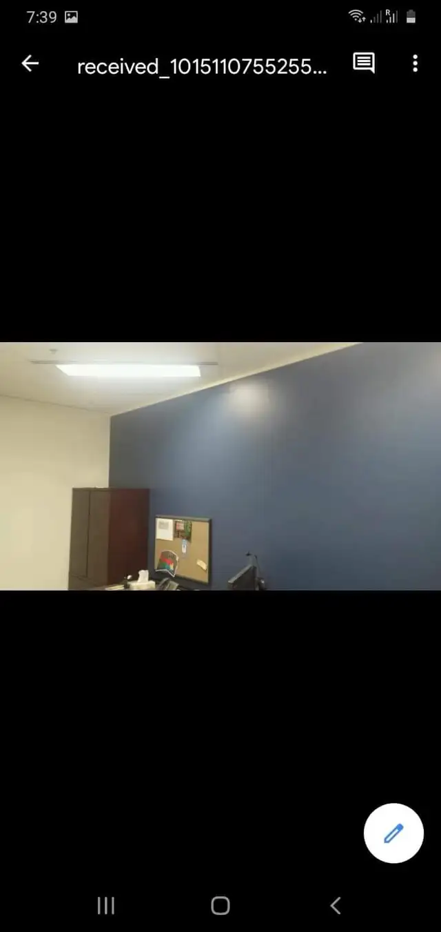Painter for hire