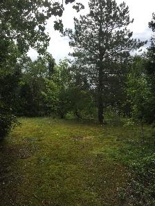 17 Leggetter's Lane, Eastport - Photo 3