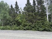 17 Leggetter's Lane, Eastport - Photo 4