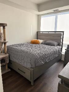 Female Roommate Wanted – Richmond Hill