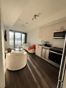 Female Roommate Wanted – Richmond Hill - Photo 4