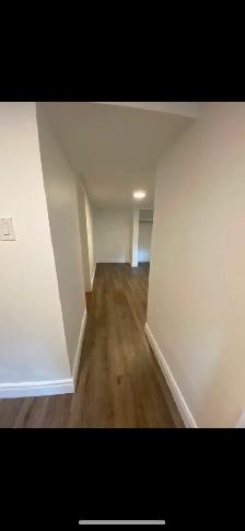High Park Blvd-Roncesvalle Bright clean & quiet bachelor immedia - Photo 4