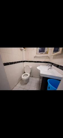 High Park Blvd-Roncesvalle Bright clean & quiet bachelor immedia - Photo 6