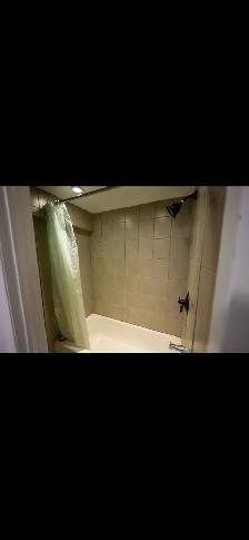 High Park Blvd-Roncesvalle Bright clean & quiet bachelor immedia - Photo 7