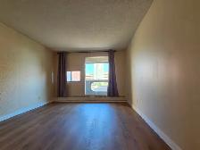 Downtown 1-Bedroom   Den with Indoor Parking - Photo 6