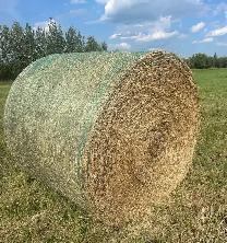 Hay Bales 100% Alfalfa for Sale – Strathcona County