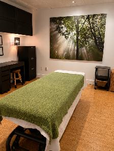 Salle de traitement à louer — physio autonome, métro Rosemont - Photo 2