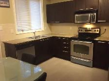Large Furnished Master Bedroom with Private Ensuite Washroom - Photo 8