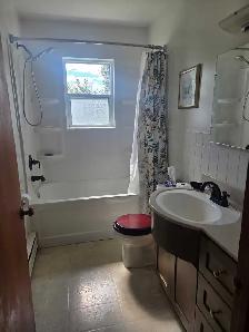 1 bdrm apartment -Sudbury - Photo 3