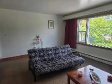1 bdrm apartment -Sudbury - Photo 4