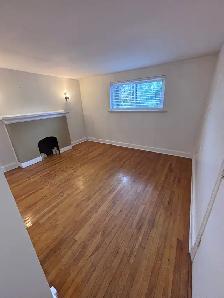 Lower Level One Bedroom Apartment | Canal/Pretoria Area