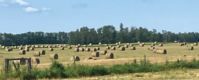 2026 Hay for Sale