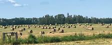 2026 Hay for Sale
