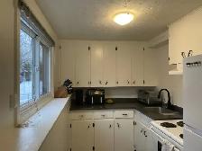 Quiet 2 Bedroom Downtown Available Now! - Photo 10