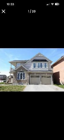 Roommate Pvt Room Upstairs in House $800