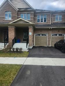 Oshawa rooms for rent