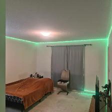 Oshawa rooms for rent - Photo 10