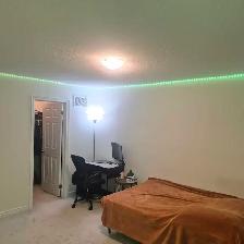 Oshawa rooms for rent - Photo 11