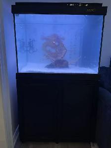 Sell The CADE Tank