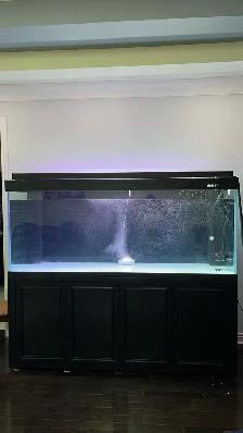 Sell The CADE Tank - Photo 3