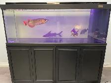 Sell The CADE Tank - Photo 6