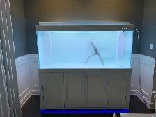 Sell The CADE Tank - Photo 7