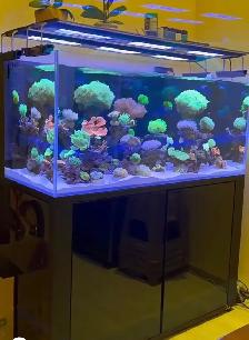 Sell The CADE Tank - Photo 8