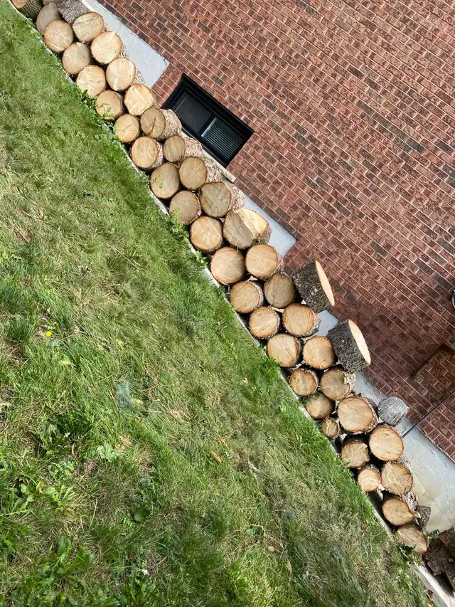 Free Pine Wood