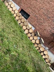 Free Pine Wood