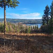 BEAUTIFUL 5.17 ACRE PROPERTY WITH AMAZING VIEWS AT TABOR LAKE - Photo 3