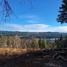 BEAUTIFUL 5.17 ACRE PROPERTY WITH AMAZING VIEWS AT TABOR LAKE - Photo 4