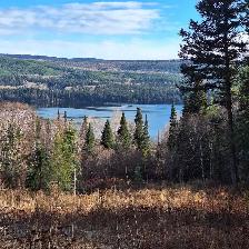 BEAUTIFUL 5.17 ACRE PROPERTY WITH AMAZING VIEWS AT TABOR LAKE - Photo 5