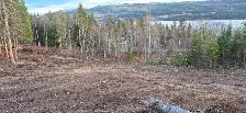 BEAUTIFUL 5.17 ACRE PROPERTY WITH AMAZING VIEWS AT TABOR LAKE - Photo 6