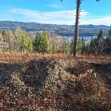 BEAUTIFUL 5.17 ACRE PROPERTY WITH AMAZING VIEWS AT TABOR LAKE - Photo 9