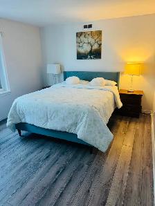 Fully Furnished one bed room apartment for rent in Leamington