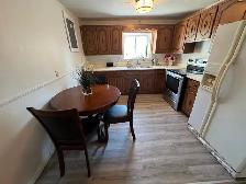 Fully Furnished one bed room apartment for rent in Leamington - Photo 8