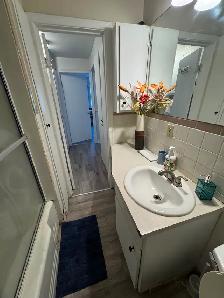 Fully Furnished one bed room apartment for rent in Leamington - Photo 12