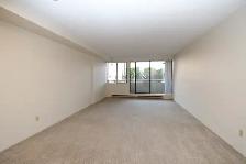 Studio Apartment for Rent Next to Seawall - Photo 4