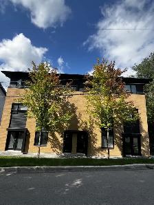 LOGEMENT 4 ½, GARAGE, STATIONNEMENT, GRANDE TERRASSE & CABANON