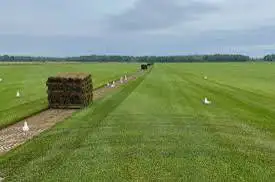 Premium Sod Installation | Free Estimate!