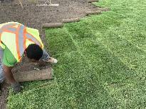 Premium Sod Installation | Free Estimate! - Photo 2