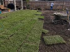 Premium Sod Installation | Free Estimate! - Photo 3